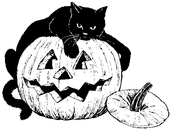 gatto nero halloween
