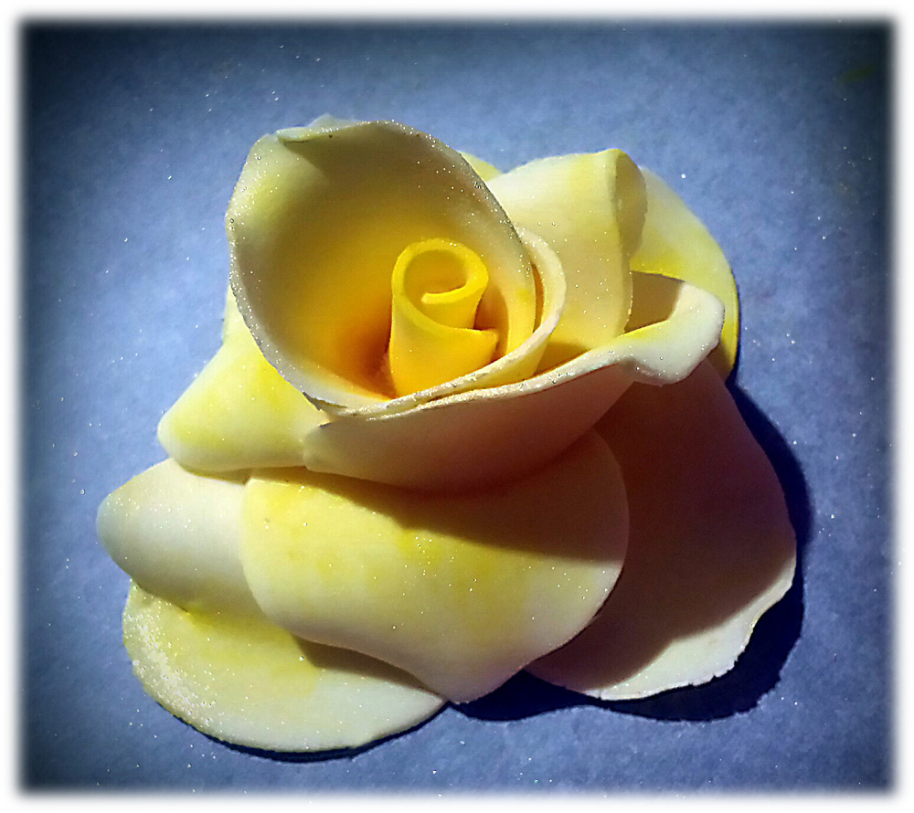 Charles' roses - yellow